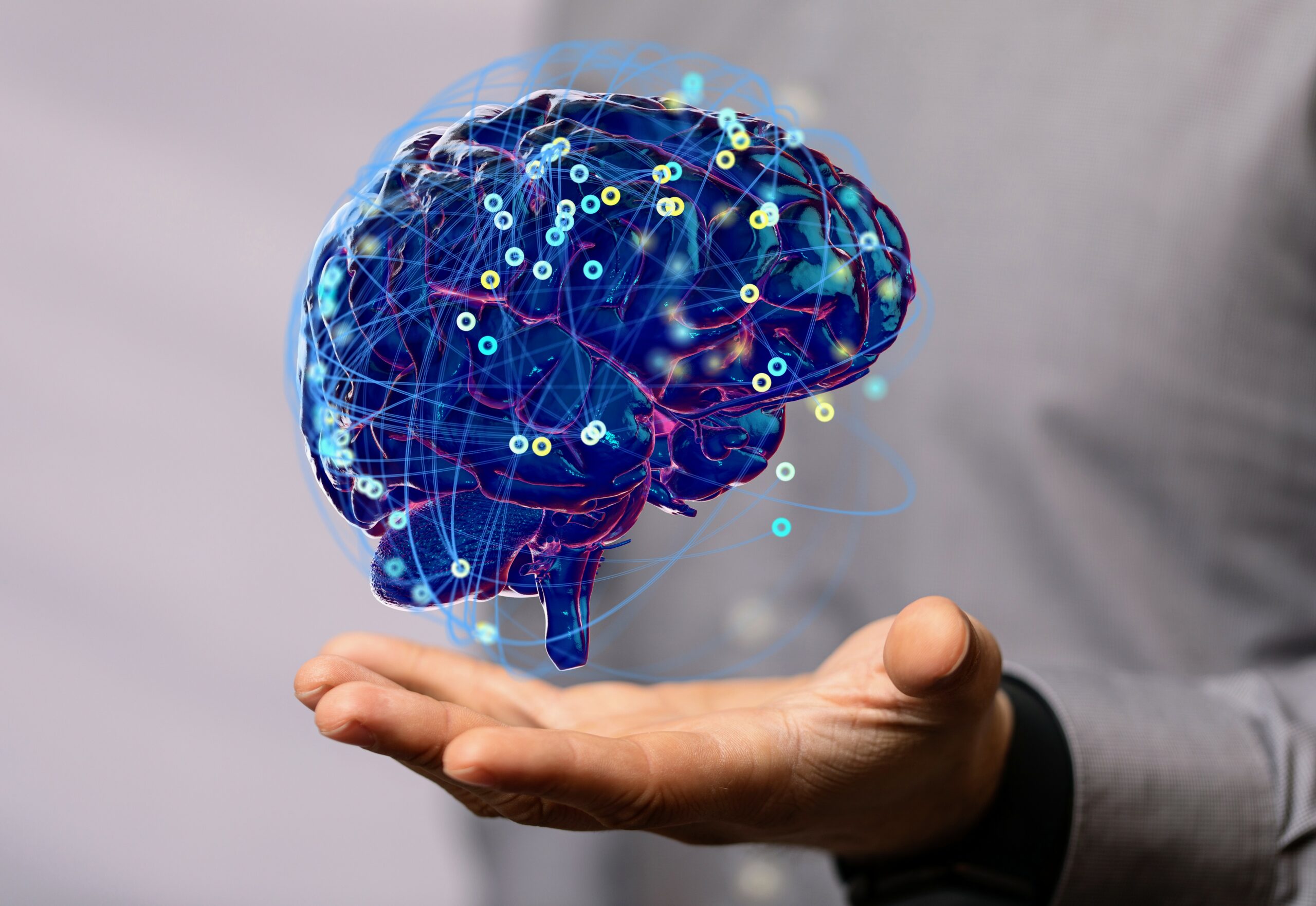 欢迎进入“脑”世界